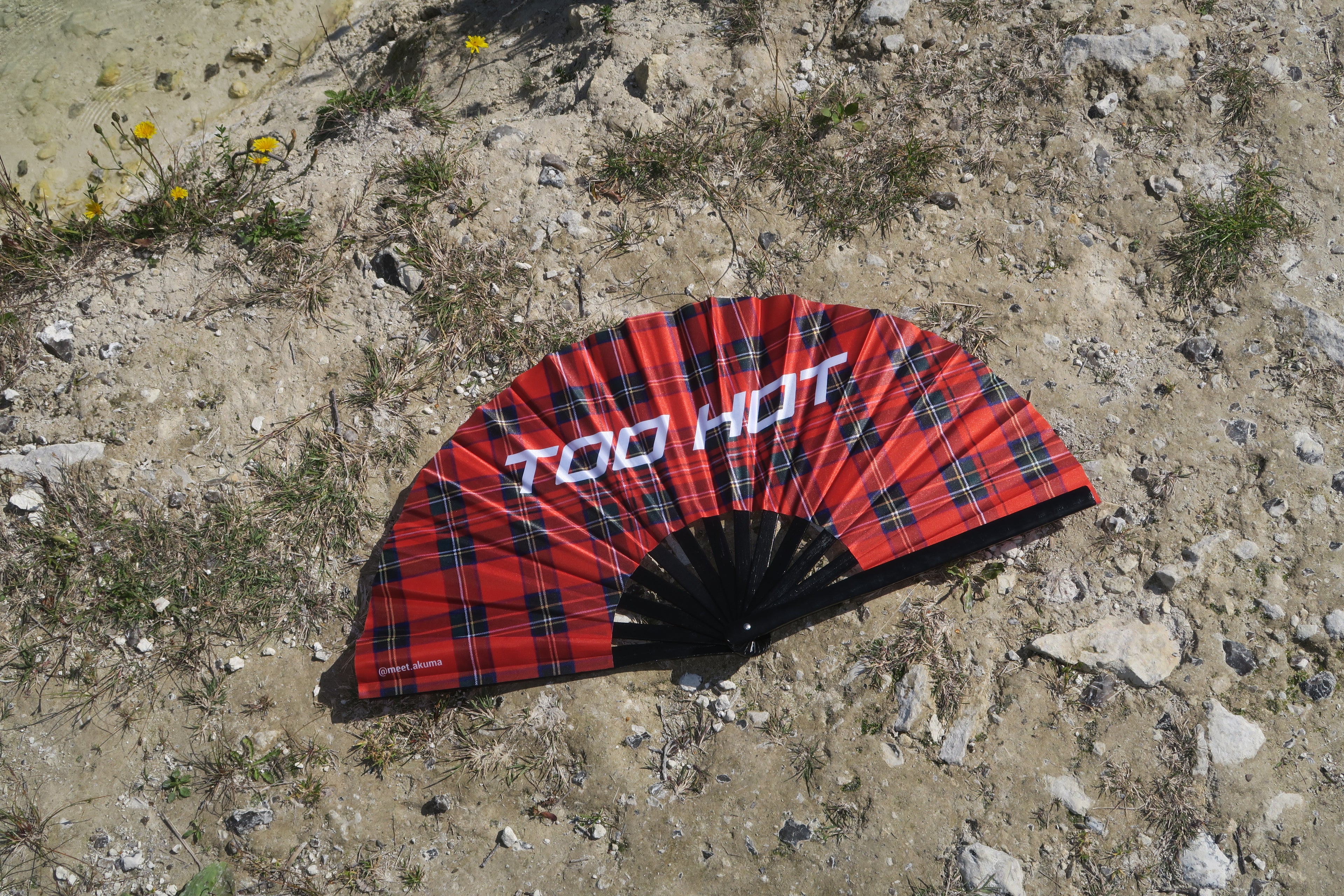 TOO HOT HAND FAN